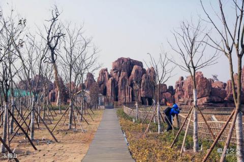 大丰丹顶鹤珍禽园旅游攻略 之 假山