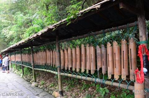 桂林义江缘景区旅游攻略 之 长寿文化长廊