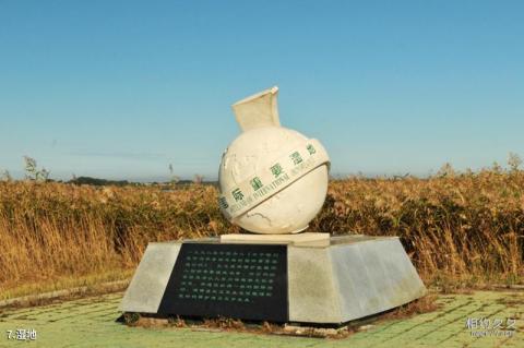 黑龙江扎龙国家自然保护区旅游攻略 之 湿地