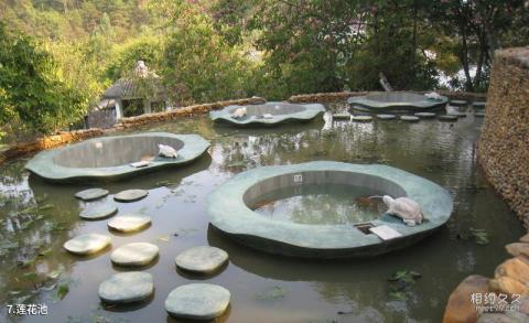 中甸藏经阁旅游攻略 之 莲花池