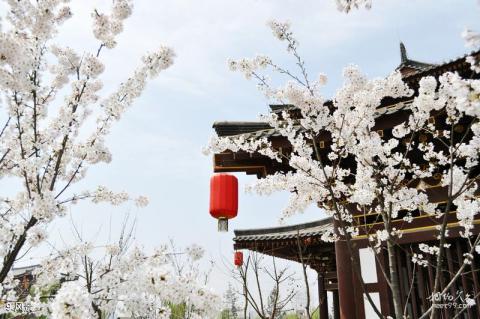 西安青龙寺旅游攻略 之 风景