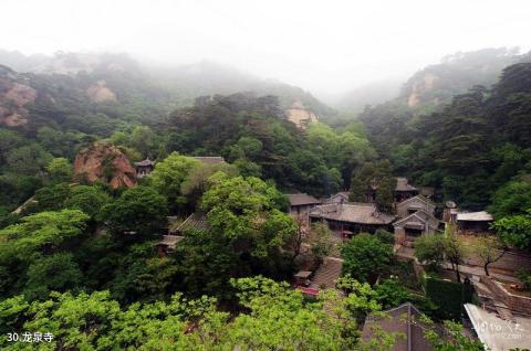 江西婺源风景区旅游攻略 江西婺源风景区旅游攻略