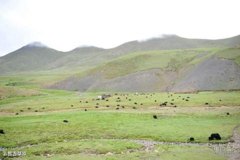 西藏博物馆旅游攻略 西藏博物馆旅游攻略