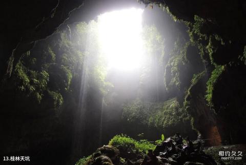 桂林永福金钟山旅游度假区旅游攻略 之 桂林天坑 桂林永福金钟山旅游度假区旅游攻略 之 桂林天坑