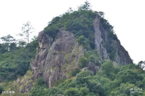 温州永嘉龙湾潭国家森林公园旅游攻略 之 长尾猴