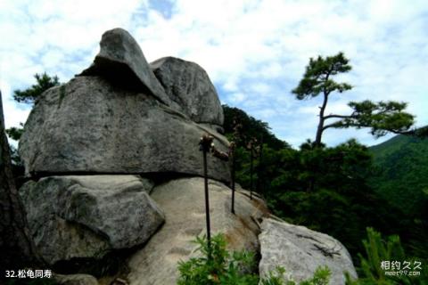 六安天堂寨旅游攻略 之 松龟同寿