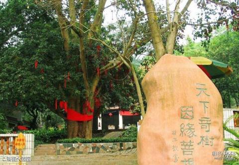 良凤江国家森林公园旅游攻略 之 菩提大观园 良凤江国家森林公园旅游攻略 之 菩提大观园