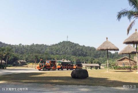 广州长隆旅游度假区旅游攻略 之 长隆野生动物世界 广州长隆旅游度假区旅游攻略 之 长隆野生动物世界