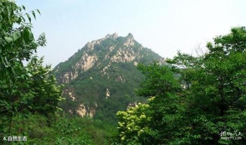双龙山森林公园旅游攻略 之 自然生态