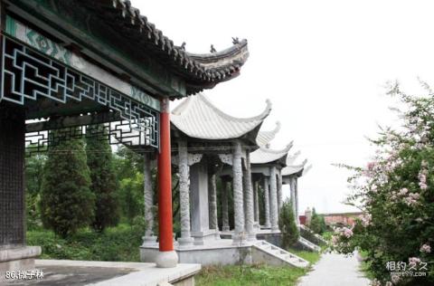 济宁微山湖风景名胜区旅游攻略 之 微子林 济宁微山湖风景名胜区旅游攻略 之 微子林