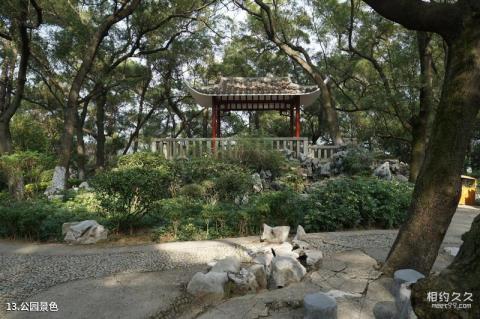 梧州中山纪念堂旅游攻略 之 公园景色