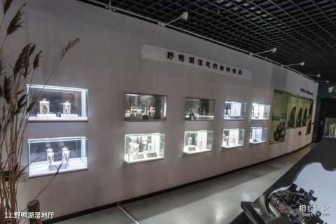 北京延庆野鸭湖国家湿地公园旅游攻略 之 野鸭湖湿地厅 北京延庆野鸭湖国家湿地公园旅游攻略 之 野鸭湖湿地厅