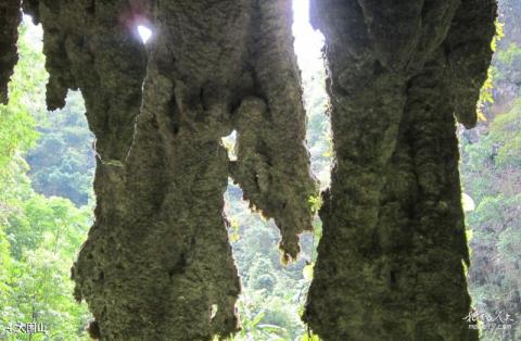 河口南溪河风景区旅游攻略 之 大围山