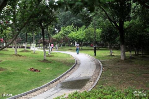 苏州唐寅园旅游攻略 之 园林