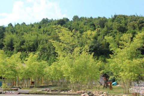 肇庆广宁宝锭山旅游景区旅游攻略 之 竹文化