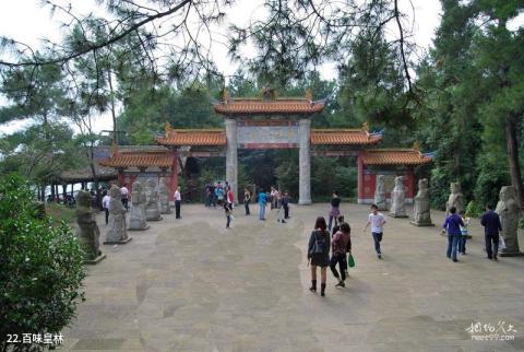 绵阳窦圌山风景区旅游攻略 之 百味皇林