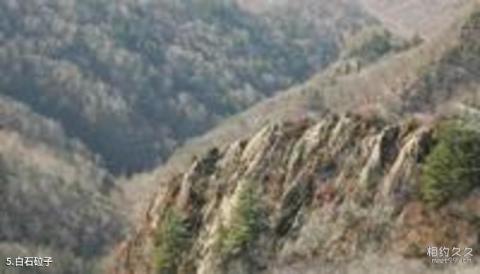 富锦五顶山国家森林公园旅游攻略 富锦五顶山国家森林公园旅游攻略