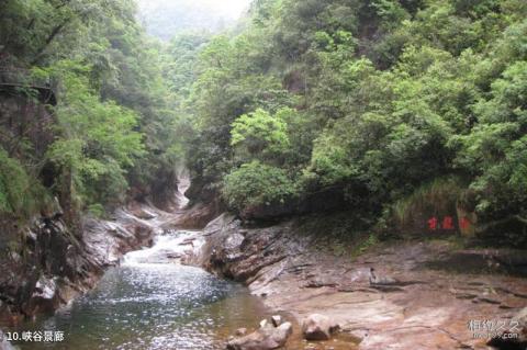 温州文成龙麒源旅游攻略 之 峡谷景廊