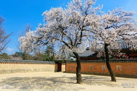 韩国景福宫旅游攻略 之 园林