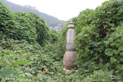 沂水灵泉山旅游区旅游攻略 之 佛教塔林