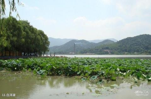 宁波鸣鹤古镇旅游攻略 之 白洋湖