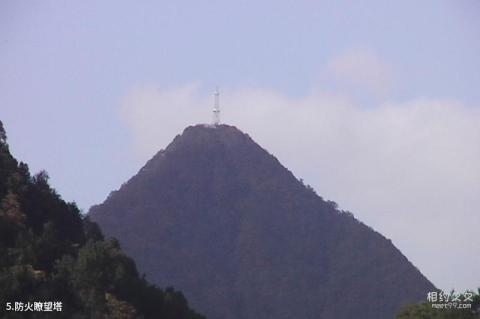 湖北星斗山国家级自然保护区旅游攻略 之 防火瞭望塔