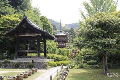 日本京都宇治旅游攻略 之 三室户寺