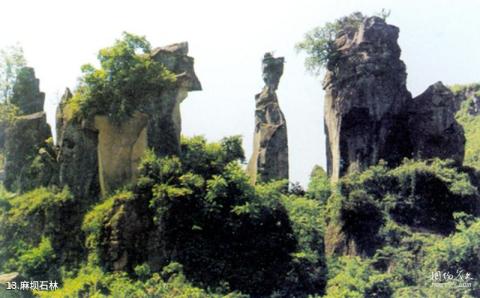 通江诺水河旅游攻略 之 麻坝石林