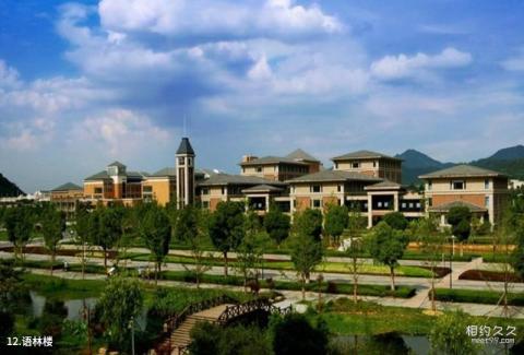 浙江工业大学校园风光 之 语林楼