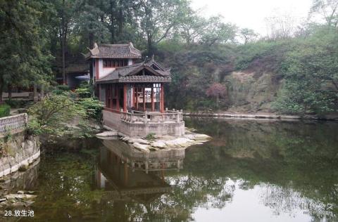 宜宾丞相祠堂旅游攻略 之 放生池