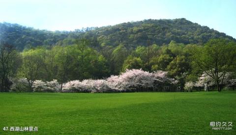 杭州西湖风景名胜区旅游攻略 之 西湖山林景点 杭州西湖风景名胜区旅游攻略 之 西湖山林景点