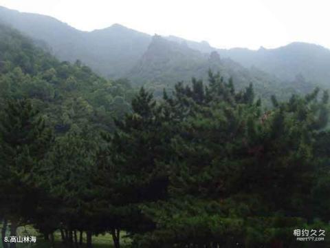 绵阳九皇山猿王洞旅游攻略 之 高山林海 绵阳九皇山猿王洞旅游攻略 之 高山林海