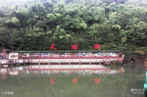 象山鲤龙潭森林公园旅游攻略 之 天蛙湖