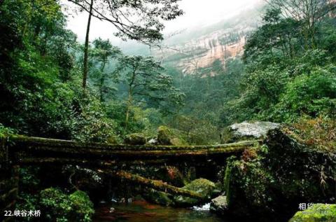 重庆江津四面山国家森林公园旅游攻略 之 峡谷木桥