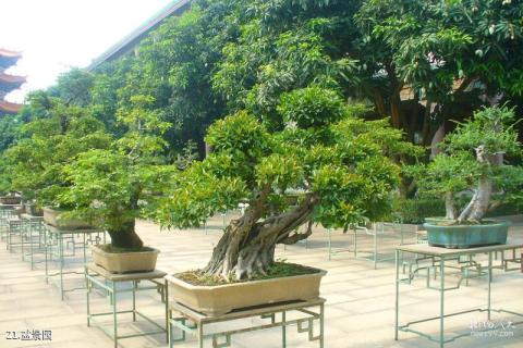广州花都广东圆玄道观旅游攻略 之 盆景园 广州花都广东圆玄道观旅游攻略 之 盆景园
