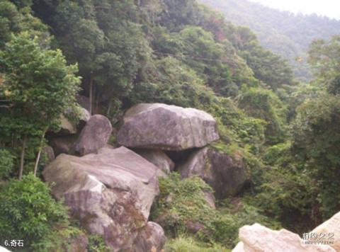 紫金南母寺旅游攻略 之 奇石