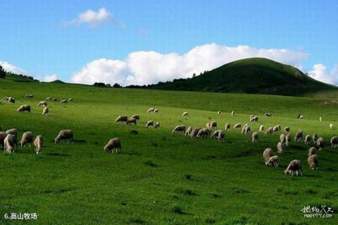 赤峰市巴林右旗巴林蒙古部落旅游攻略 之 高山牧场