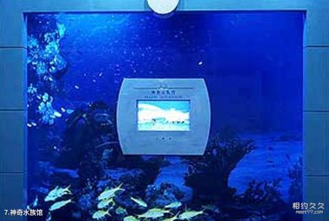 青岛海尔科技馆旅游攻略 之 神奇水族馆 青岛海尔科技馆旅游攻略 之 神奇水族馆