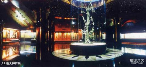 广汉三星堆博物馆旅游攻略 之 通天神树展