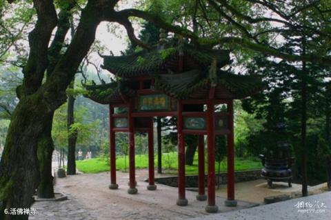 信阳鸡公山风景名胜区旅游攻略 之 活佛禅寺 信阳鸡公山风景名胜区旅游攻略 之 活佛禅寺