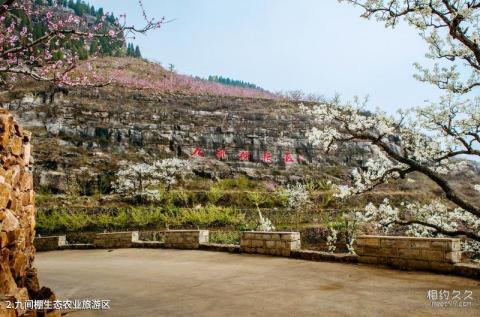 平邑九间棚生态农业旅游区旅游攻略 之 九间棚生态农业旅游区