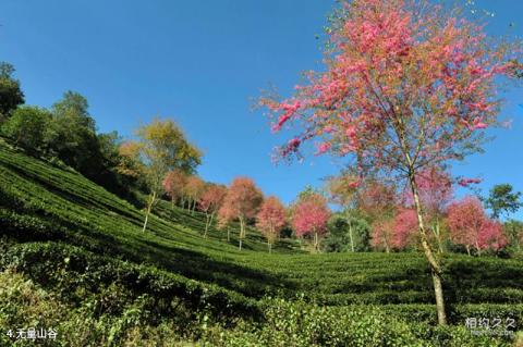 云南无量山国家级自然保护区旅游攻略 之 无量山谷