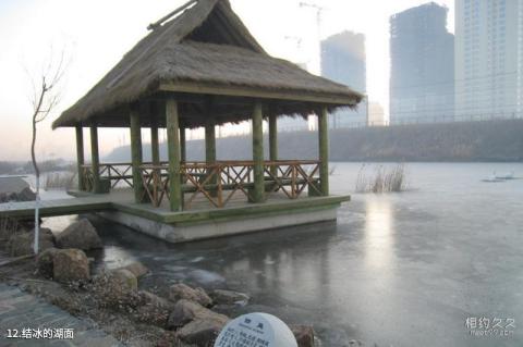 大连前关城市中央湿地公园旅游攻略 之 结冰的湖面