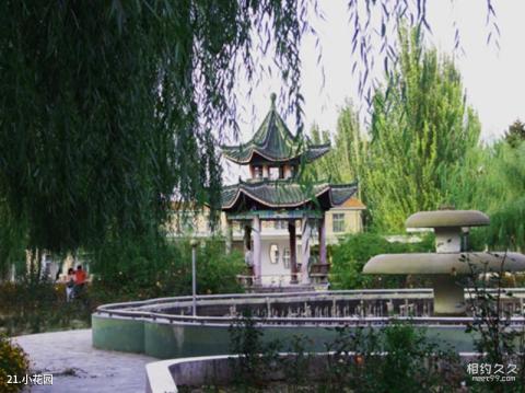 兰州大学校园风光 之 小花园