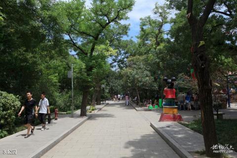秦岭光头山旅游攻略 秦岭光头山旅游攻略