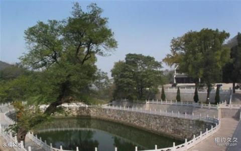 镇江宝华山国家森林公园旅游攻略 之 戒公池