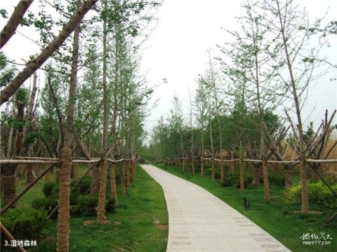白浪绿洲湿地公园旅游攻略 之 湿地森林 白浪绿洲湿地公园旅游攻略 之 湿地森林