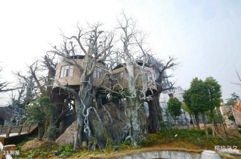 安徽五千年文博园旅游攻略 之 树屋