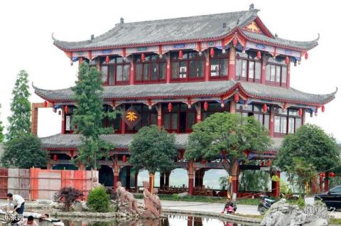 眉山青神江湾神木园旅游攻略 之 茶园