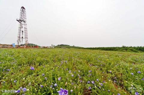 安丘辉渠百泉旅游区旅游攻略 之 歌尔庄园